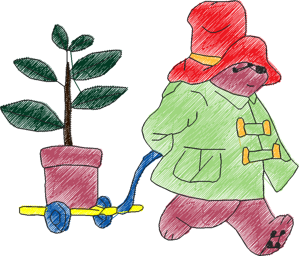 Paddington Bear2 (14)
